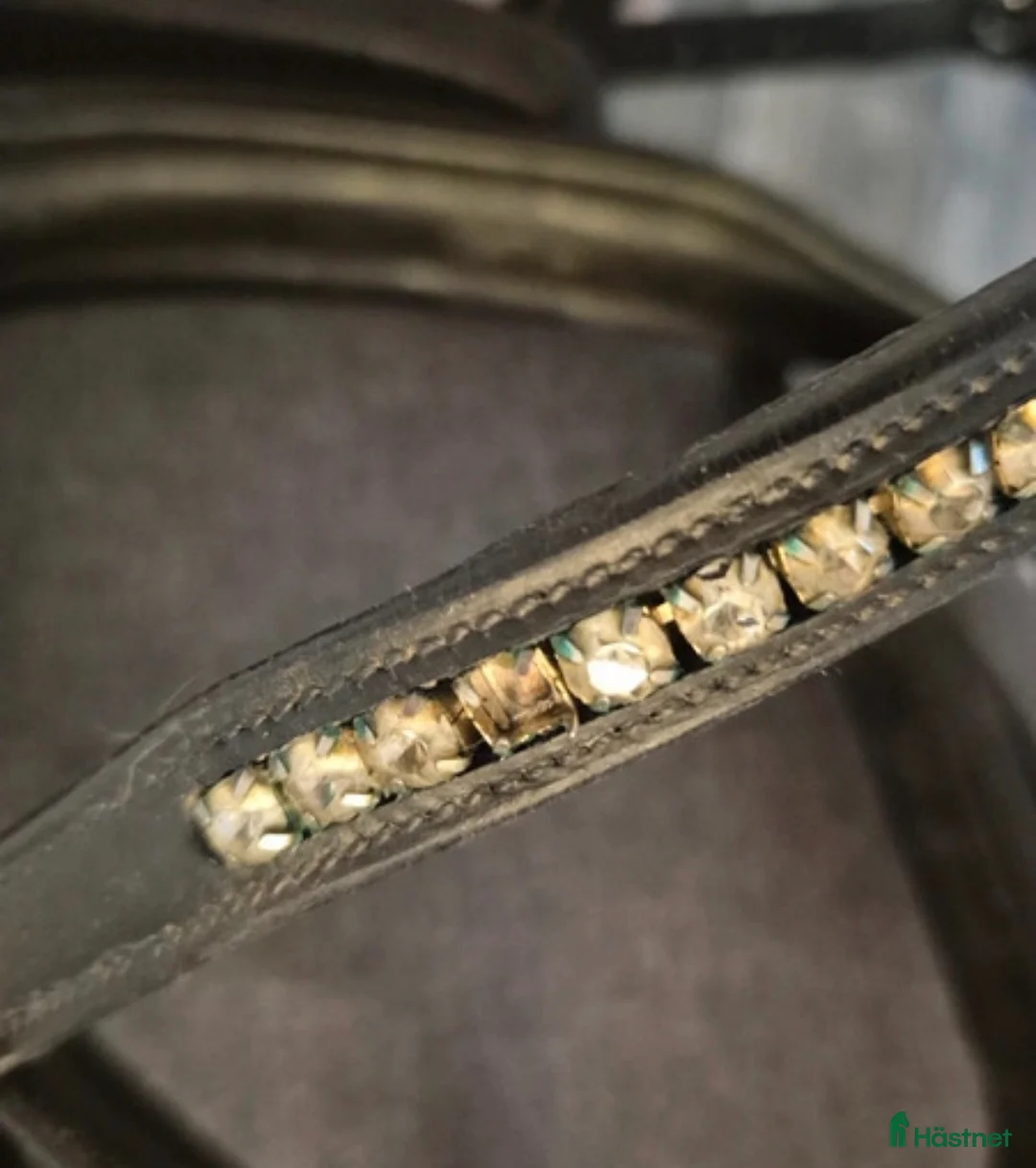 Träns hästutrustning till salu: Schockemöhle träns  i Kristinehamn - Annons 4