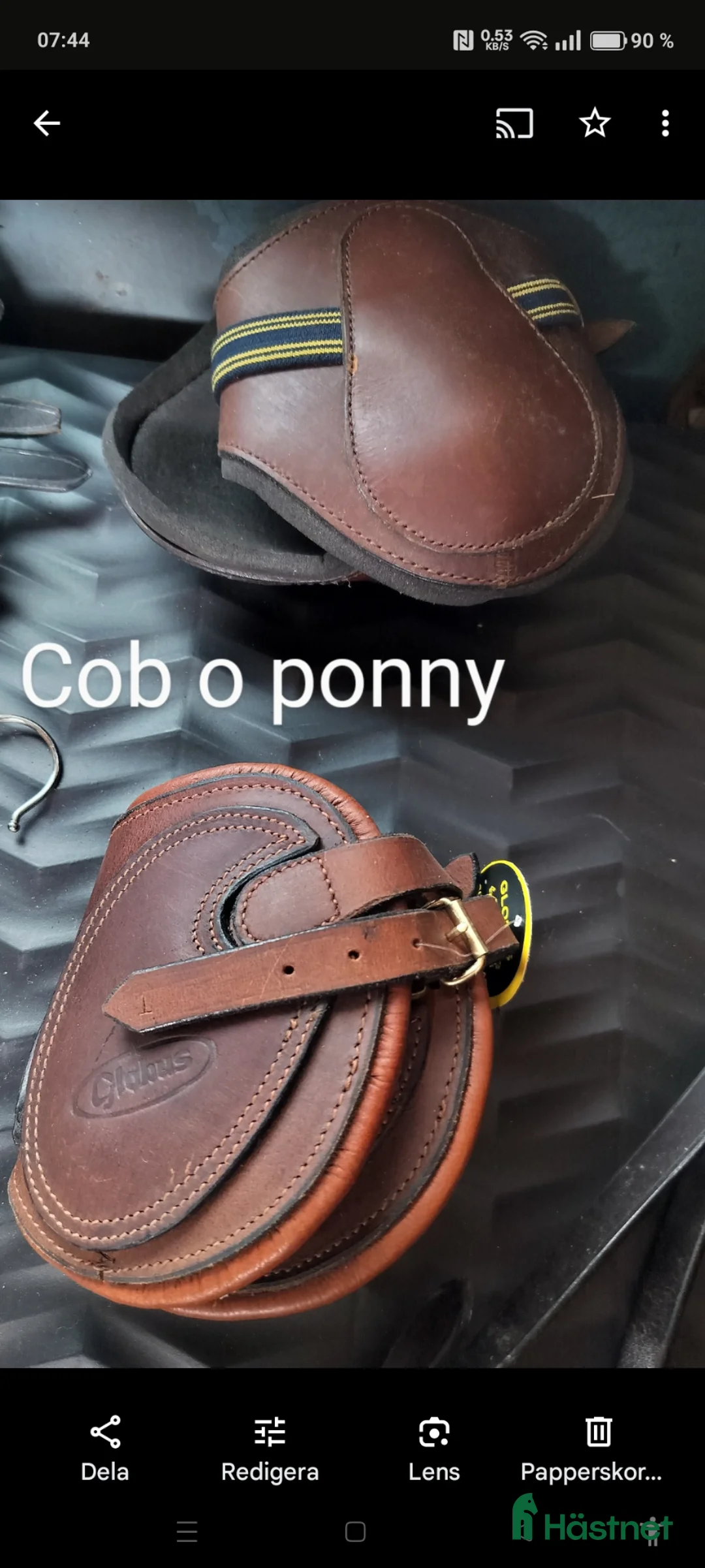 Benskydd hästutrustning till salu: Nya läderskydd bak - Annons 1