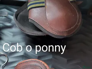 Benskydd hästutrustning Nya läderskydd bak - Annons 2