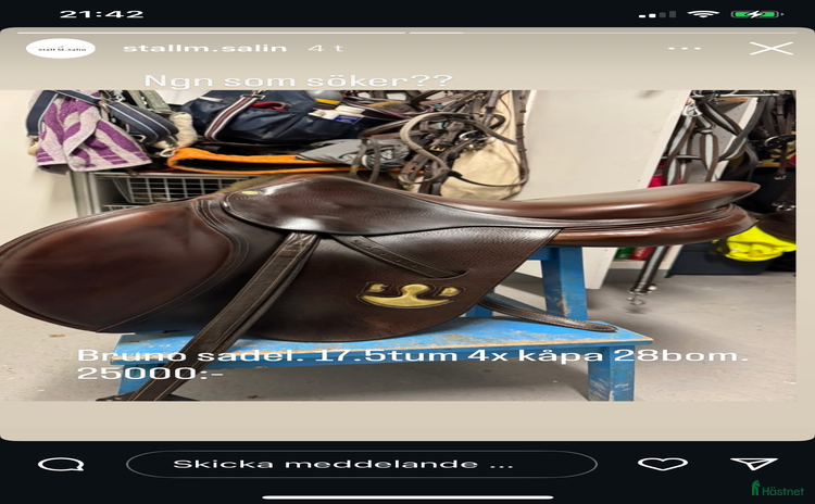 Sadlar hästutrustning till salu i Sundborn - Annons 7