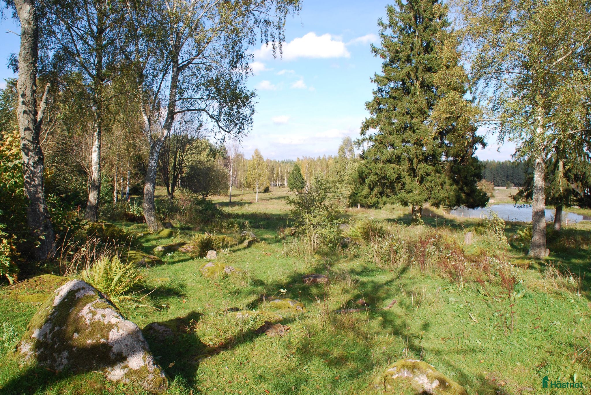  stallplats Ledig stallplats 1 september - Annons 13