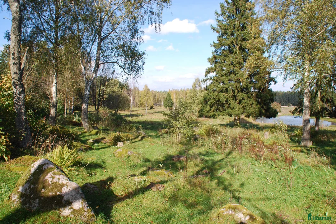  stallplats finnes: Ledig stallplats 1 september - Annons 1
