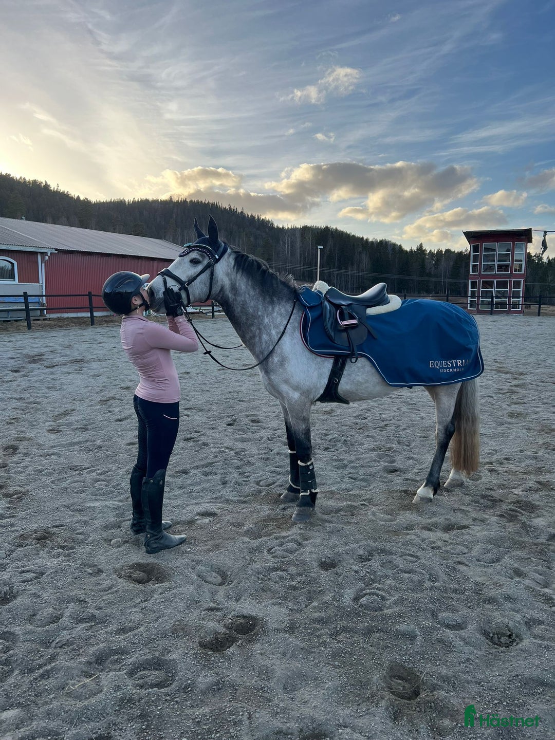  foderhäst sökes: Samarbete/foderavtal sökes  i Ramsele - Annons 1