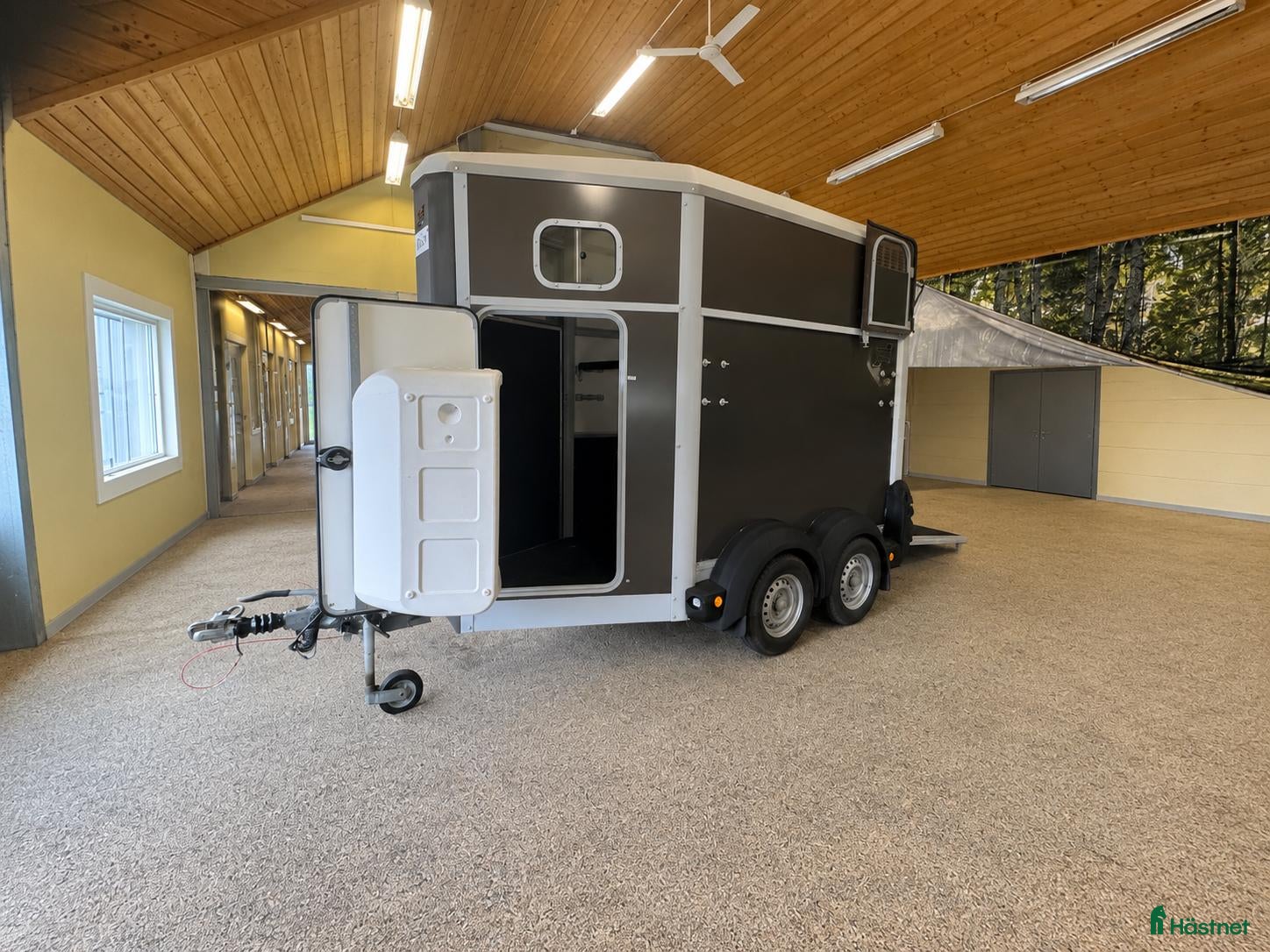 Hästtransporter  fordon & transport till salu: Ifor Williams 1,5-hästars 2019 - Annons 10