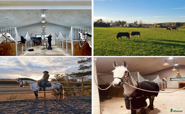  stallplats i Söderköping - Annons 6