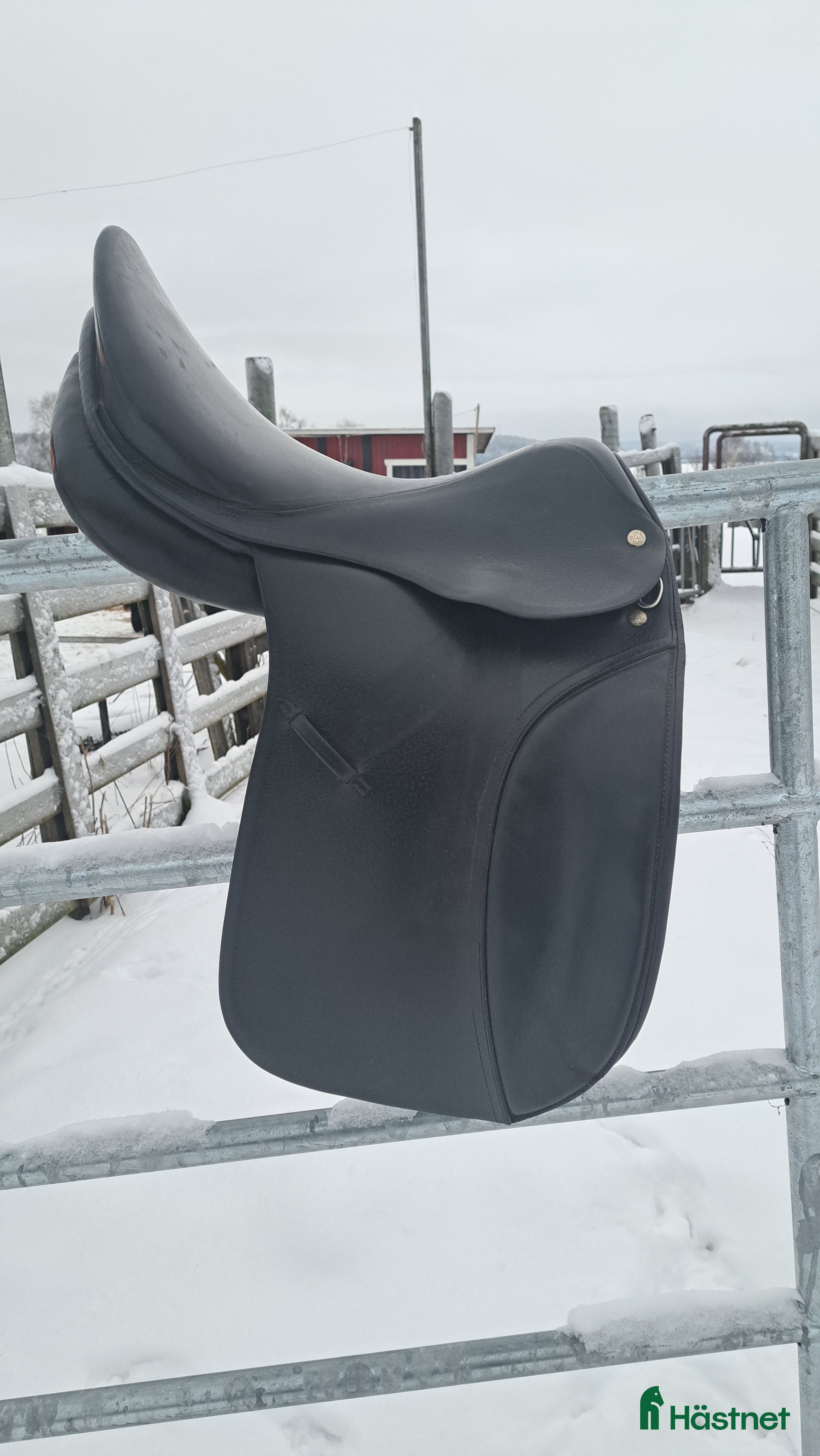 Sadlar hästutrustning till salu: Kvalitet dressyrsadel Röösli svart - Annons 7