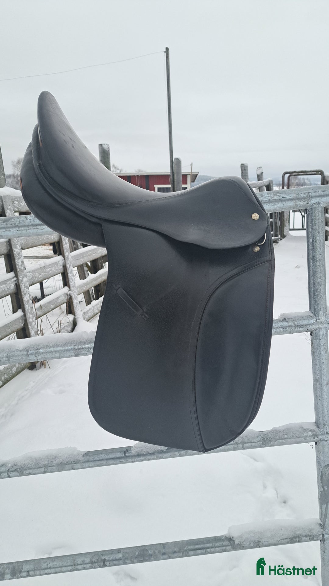 Sadlar hästutrustning till salu: Kvalitet dressyrsadel Röösli svart - Annons 1