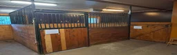  stallplats finnes: Lösdriftsplatser finns i Skellefteå  - Annons 4