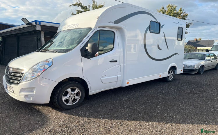 Hästlastbilar  fordon & transport till salu: Nuyts 5-sits i toppskick  i Teckomatorp - Annons 5