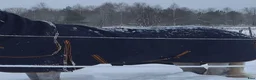 Täcken hästutrustning till salu: Hyltarp - Annons 2