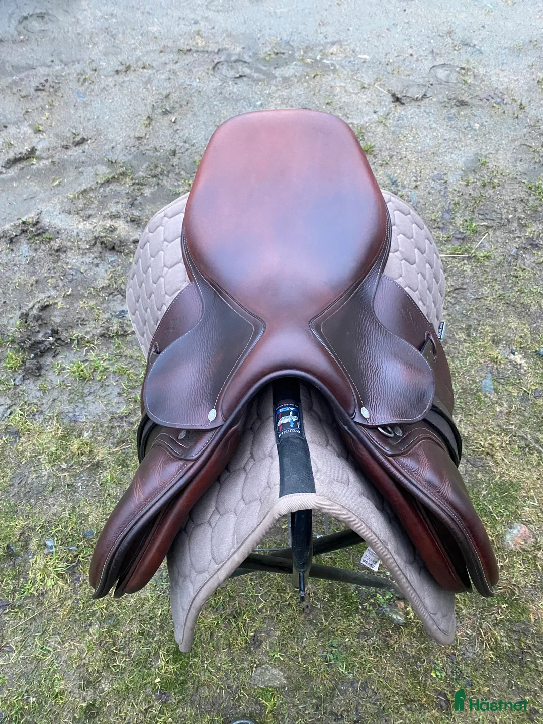 Sadlar hästutrustning till salu: Kvalitets sadel från Antares i Göteborg - Annons 5