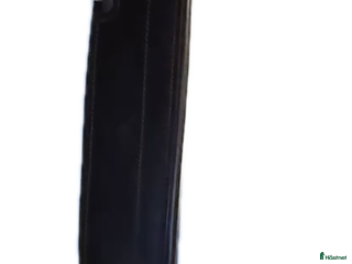 Sadeltillbehör hästutrustning till salu: Winderen i Falkenberg - Annons 4