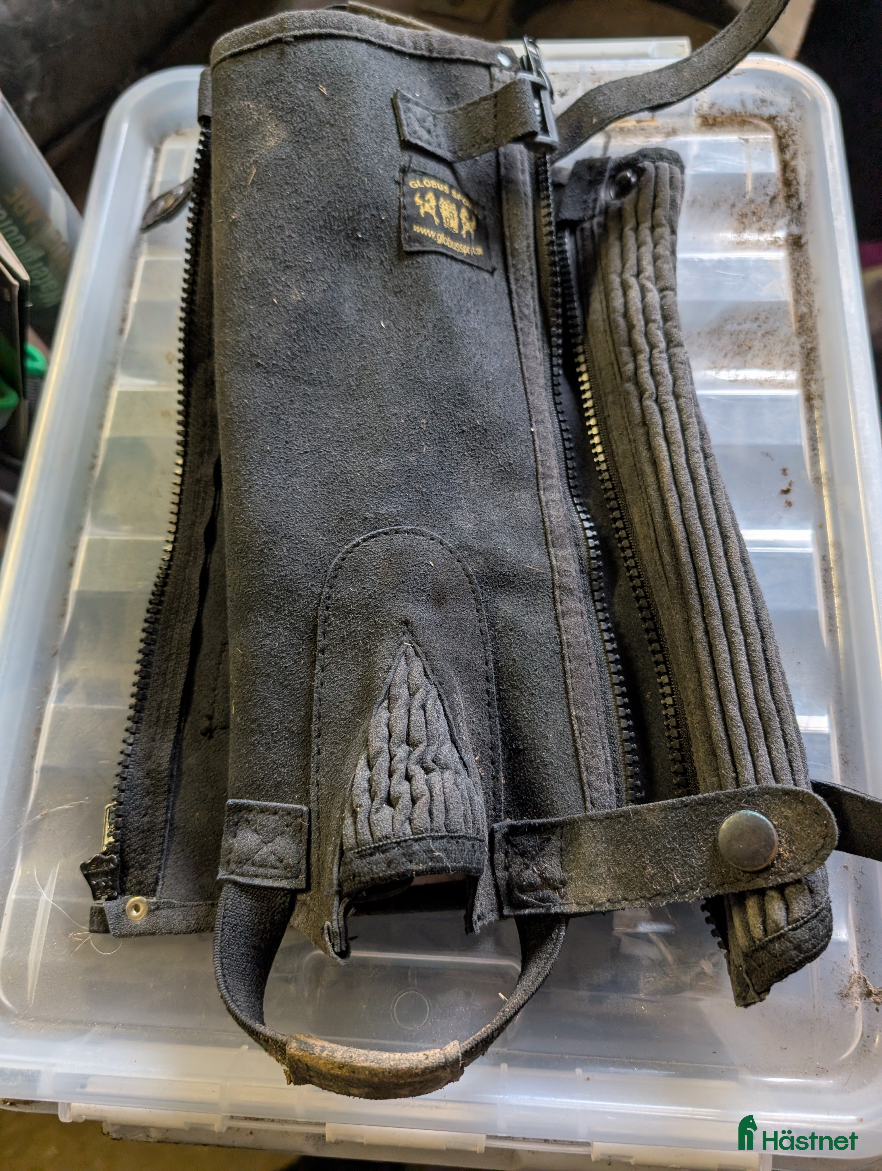 Övrig Ryttarutrustning ryttarutrustning till salu: shortchaps barn i Brålanda - Annons 10