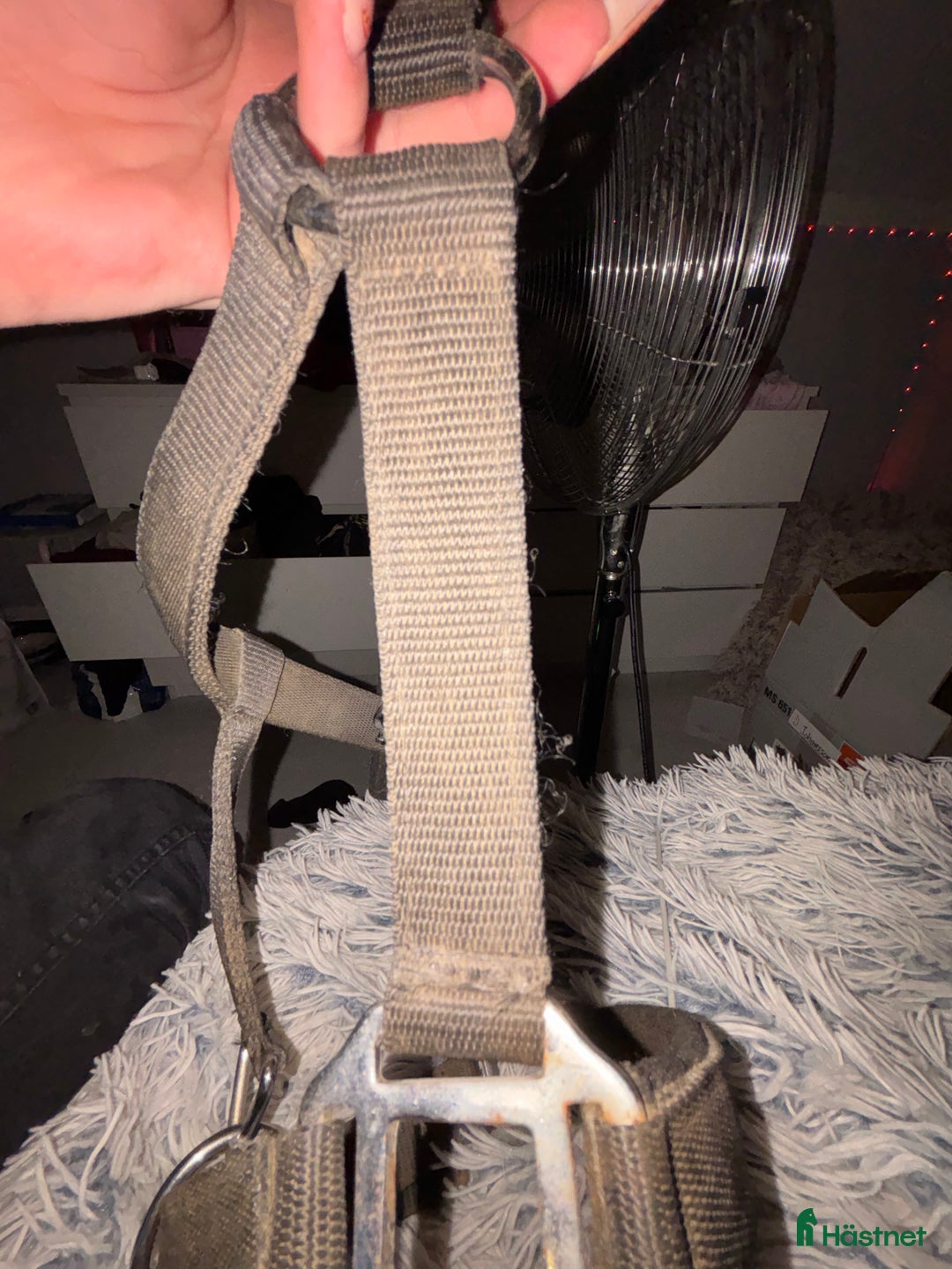 Övrig Hästutrustning hästutrustning till salu: Grimma i Fristad - Annons 3