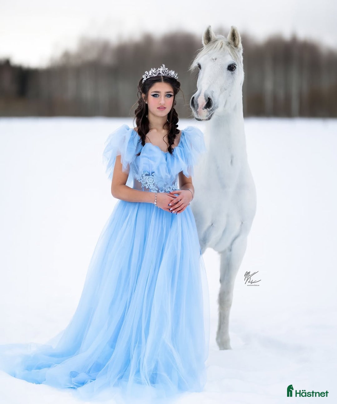 Dressyr hästar till salu: Drömponny för den lilla ryttaren i Norrköping - Annons 1