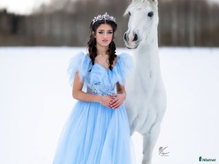 hästar Drömponny för den lilla ryttaren i Norrköping - Annons 3