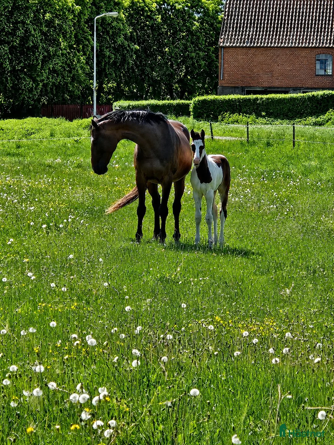 Galleribild {{count}}