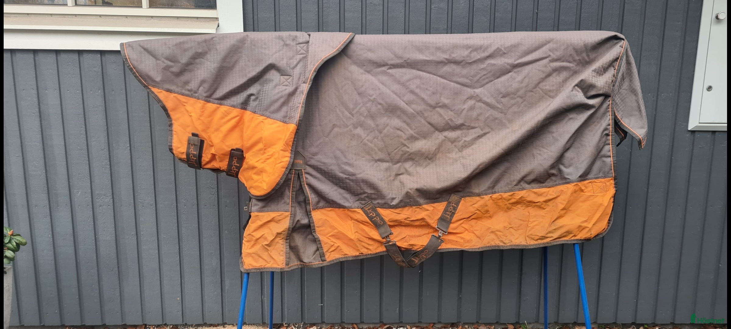 Täcken hästutrustning Lippo 200 gram 125 i Höör - Annons 4