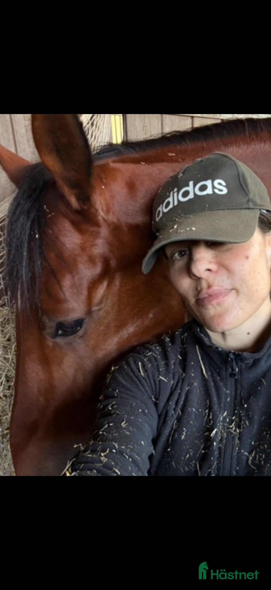  medryttarhäst sökes: Looking for a horse/riding opportunity - Annons 15