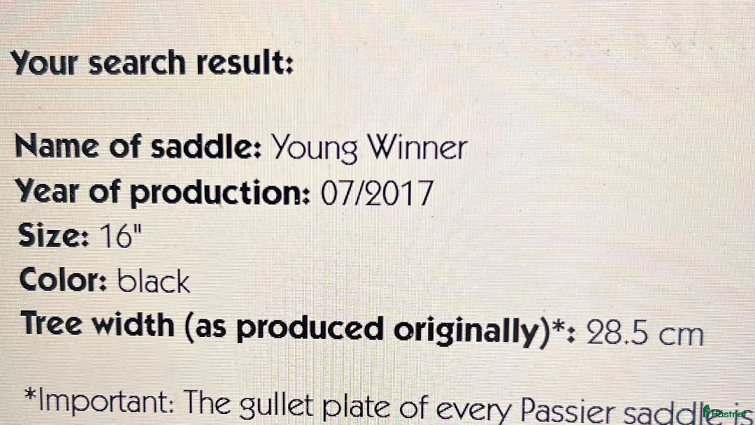 Sadlar hästutrustning till salu: Passier Young Winner i Häljarp - Annons 6