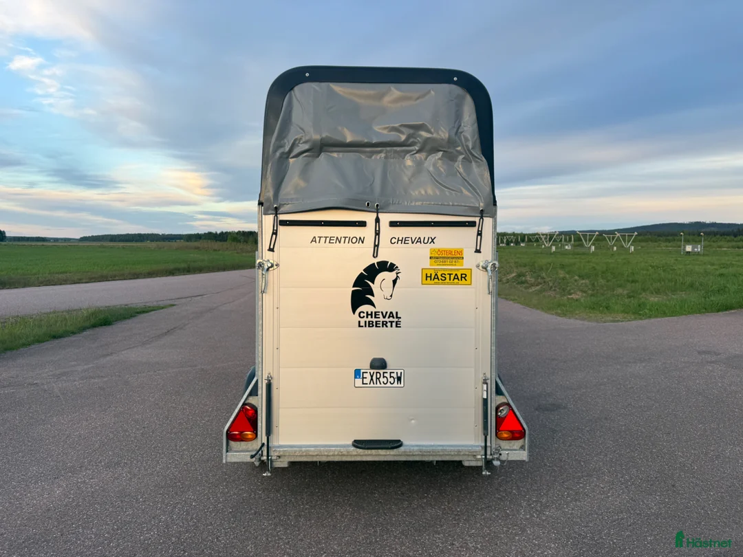 Hästtransporter  fordon & transport till salu: Cheval Gold One -22 - Annons 5