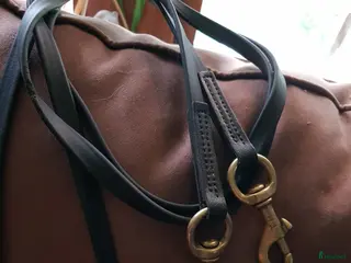 Islandshästutrustning övrig utrustning till salu: Tygel Top reiter biothane i Timrå - Annons 6