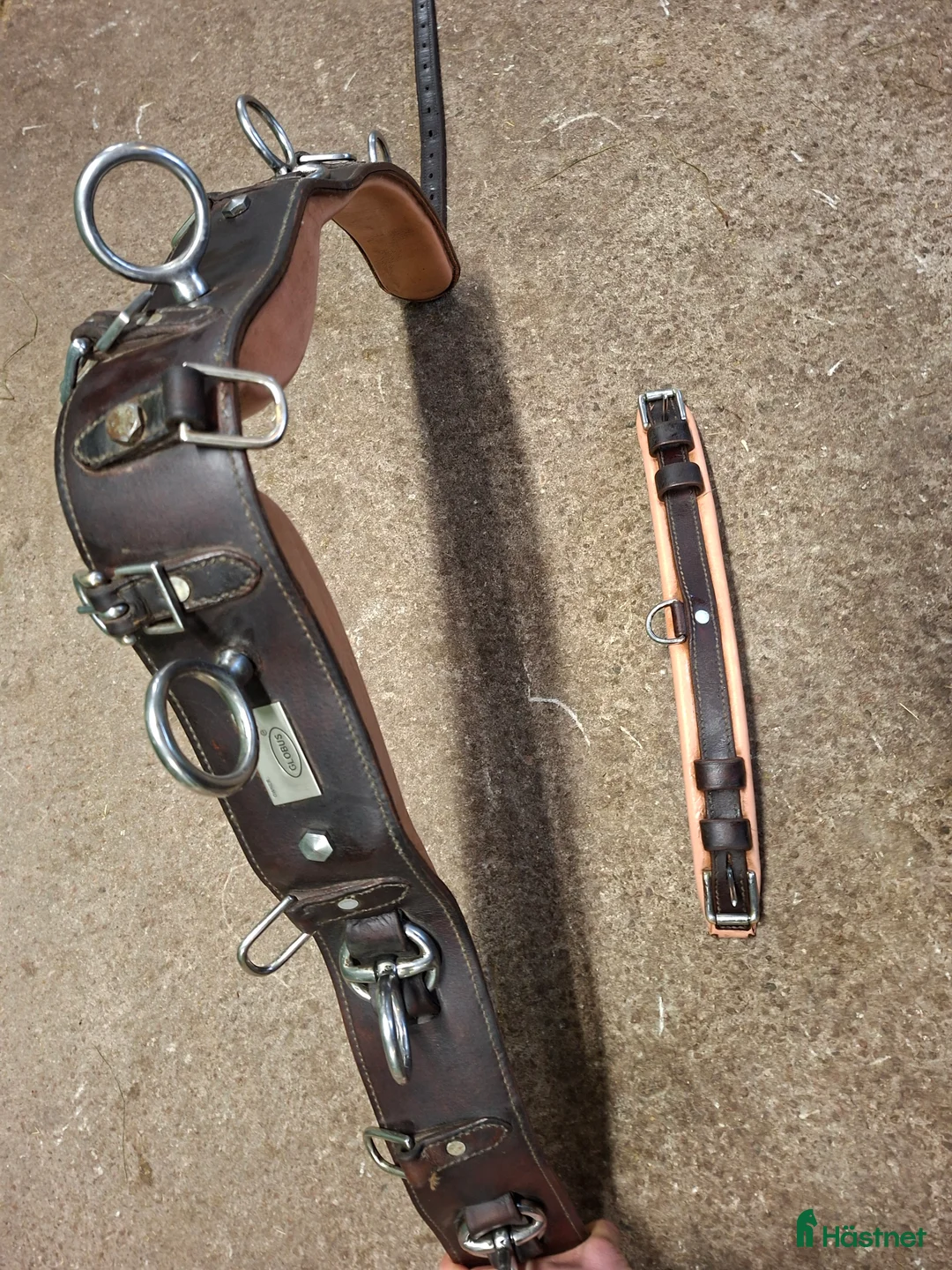 Övrig Hästutrustning hästutrustning till salu: Tömkörningsgjord  i Forsheda - Annons 2