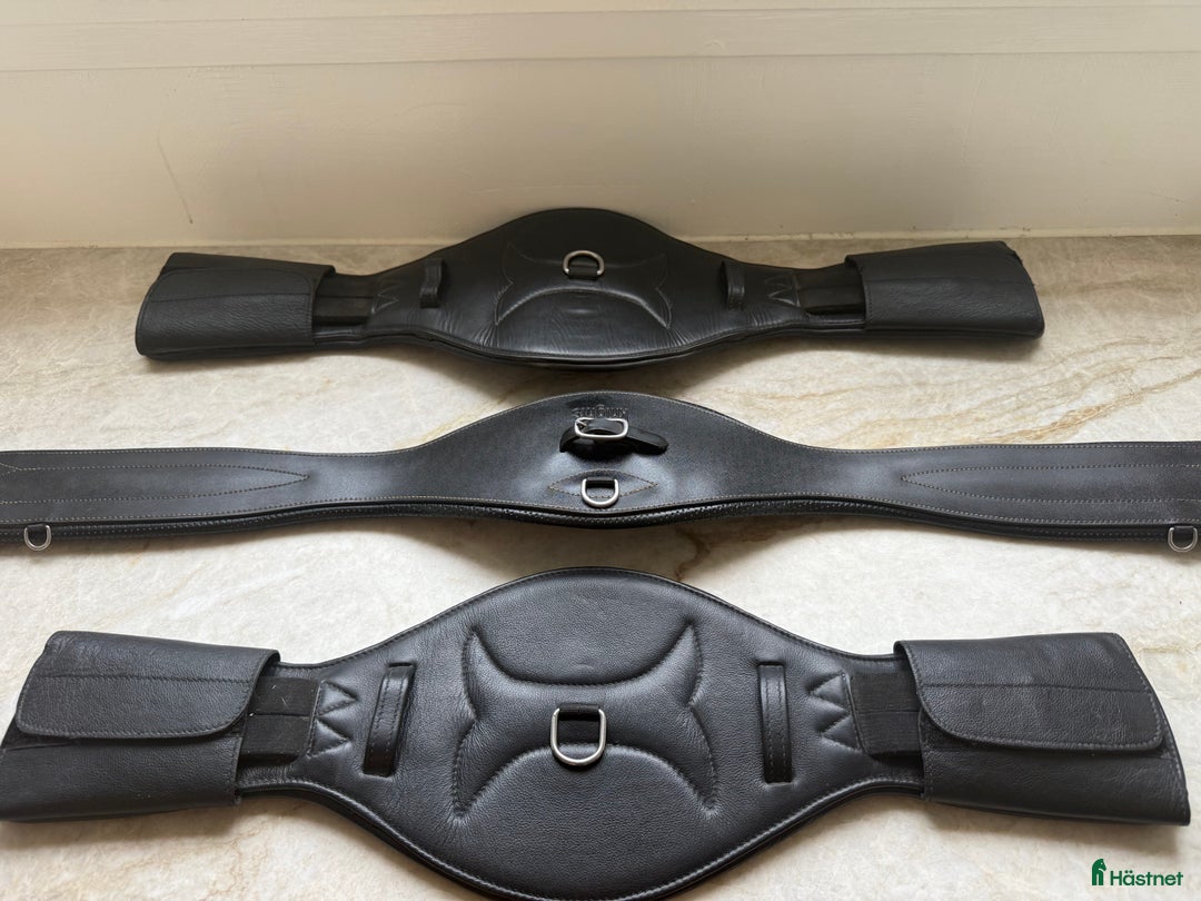 Sadeltillbehör hästutrustning till salu: Sadelgjordar i Nora - Annons 2