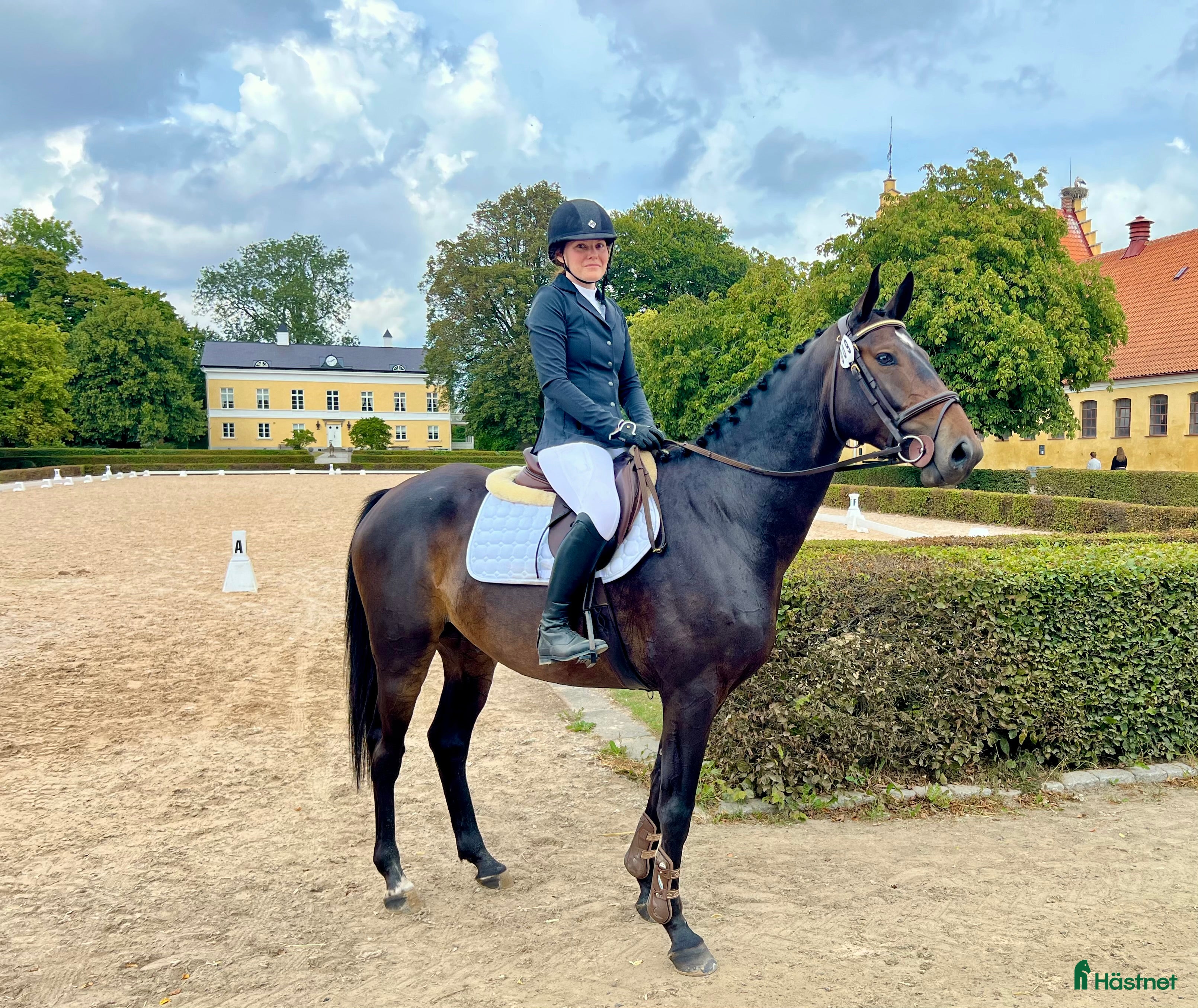  hästservice Inridning/Utbildning/omskolning - Annons 5