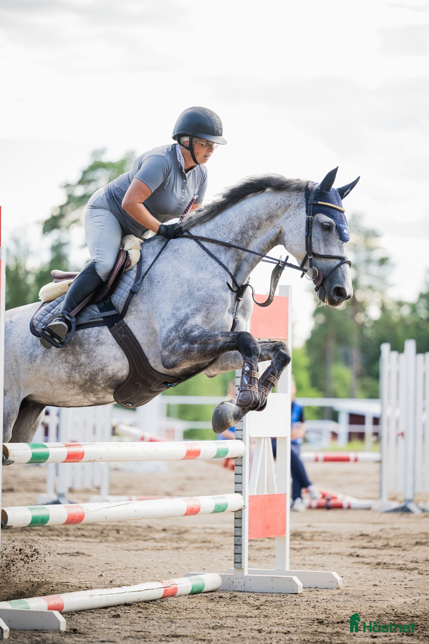  hästar Välutbildad hopphäst - Annons 10