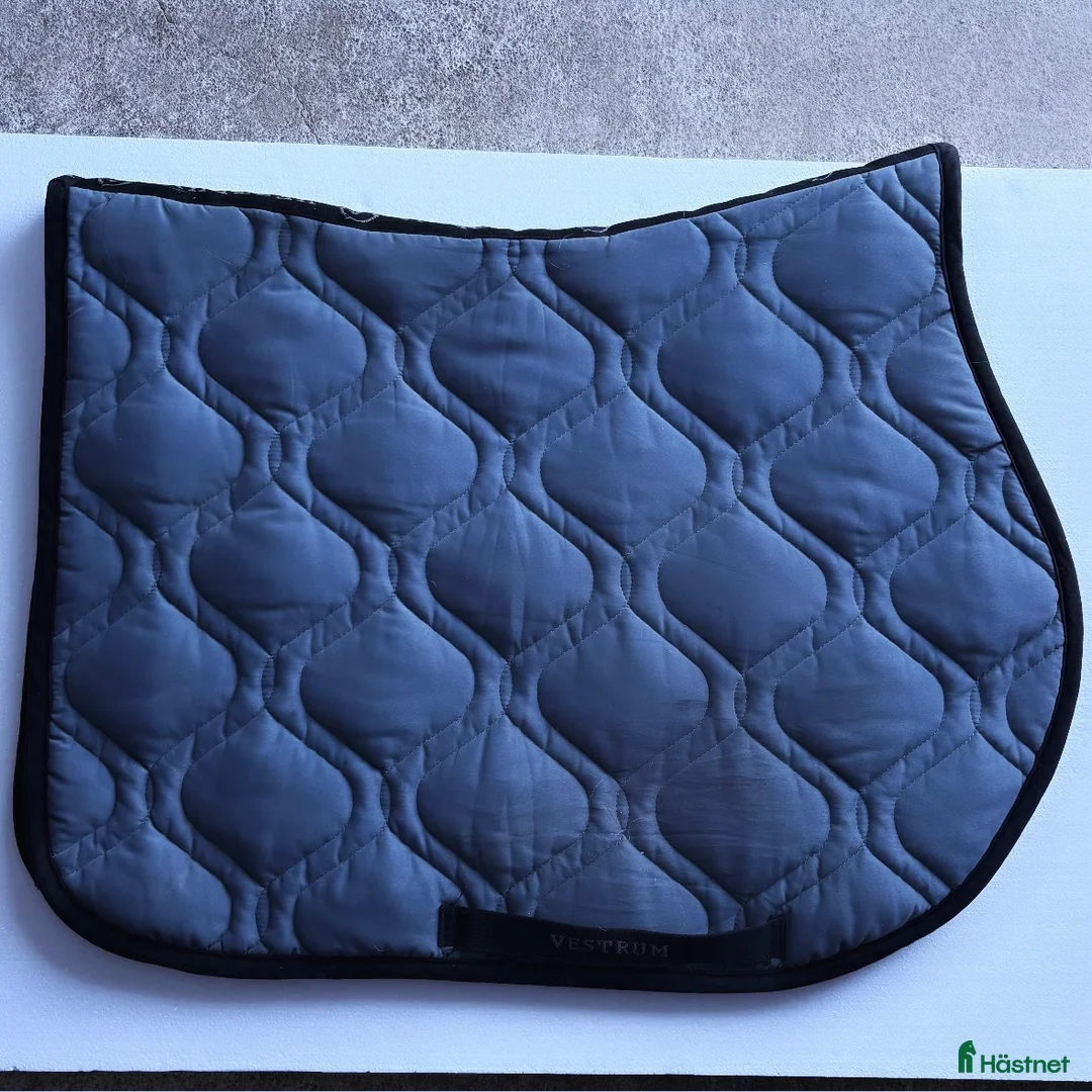 Övrig Hästutrustning hästutrustning till salu: Vestrum - Annons 5