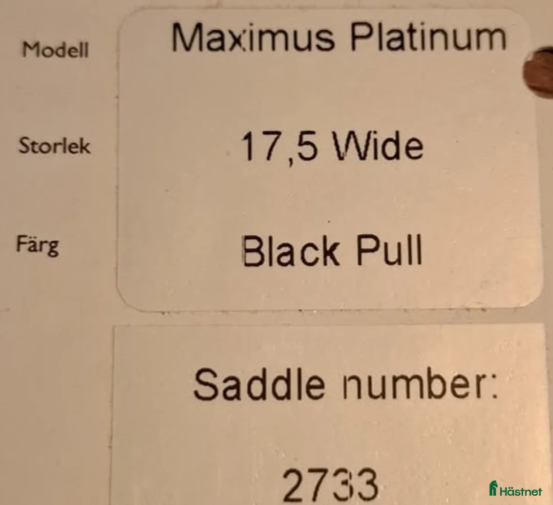Sadlar hästutrustning till salu: Säljer en Svart Santa Cruz hoppsadel  i Vittskövle - Annons 2