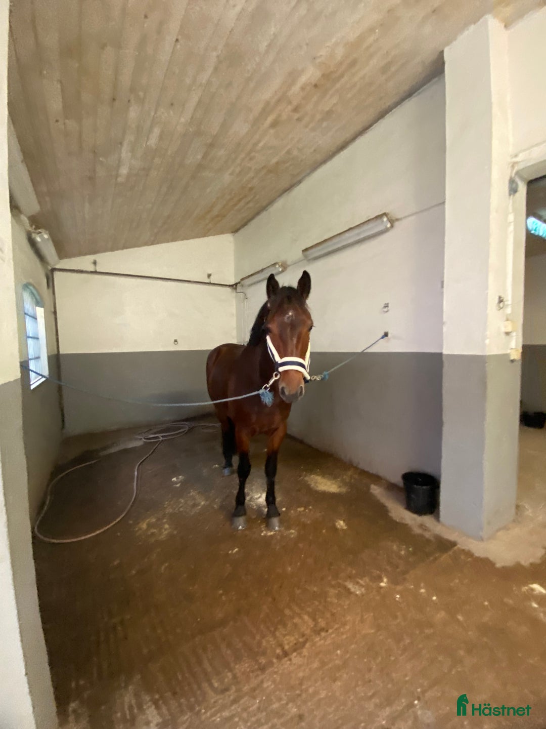 Galleribild {{count}}