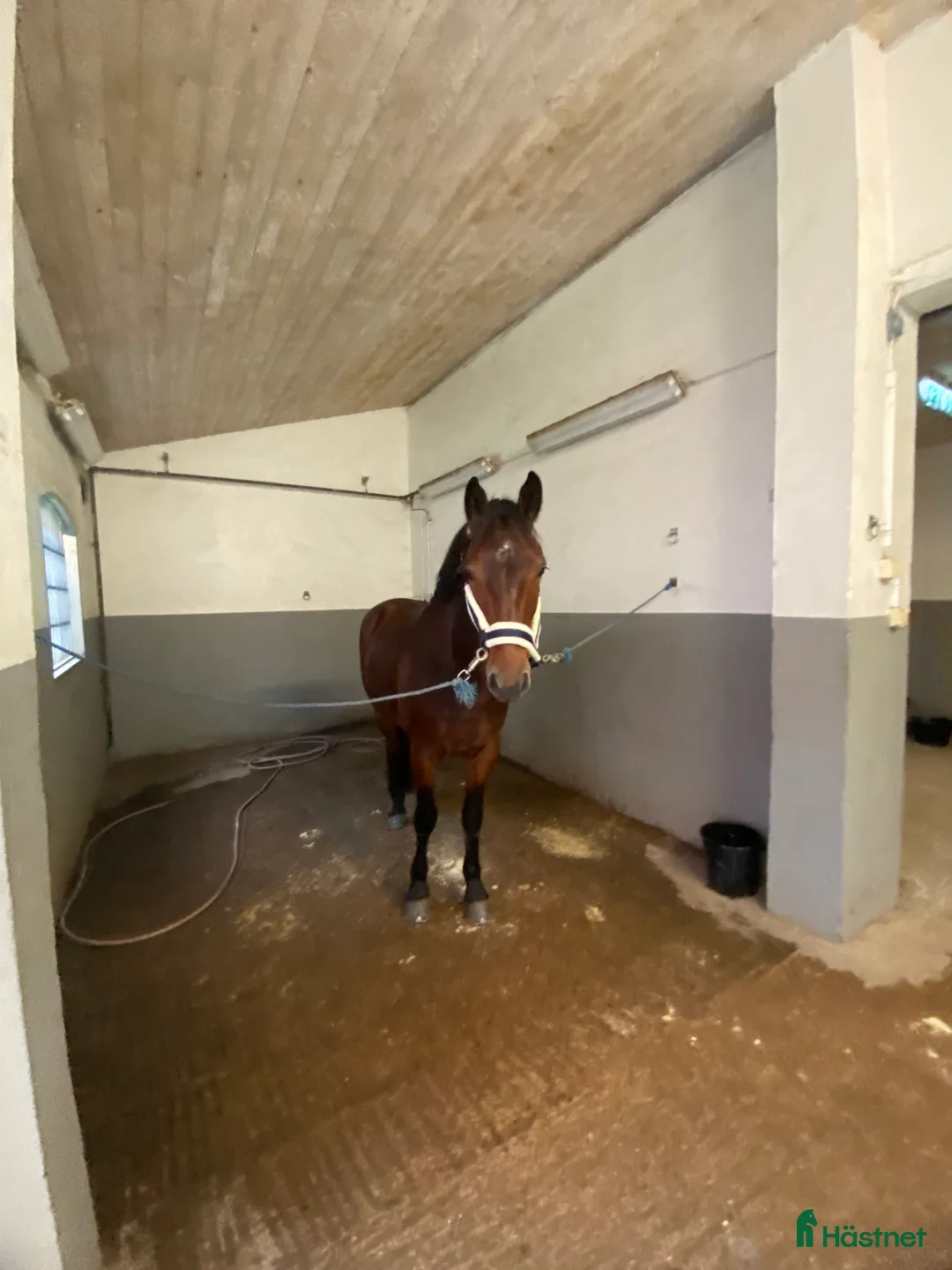 Galleribild {{count}}