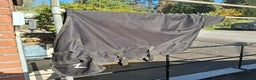 Täcken hästutrustning till salu: Två ofodrade regntäcken  i Stenungsund - Annons 2