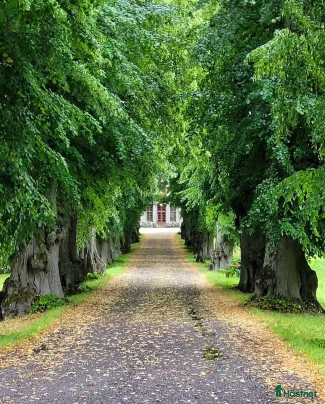  stallplats finnes: En box kvar på Almare Stäket! i Kungsängen - Annons 4