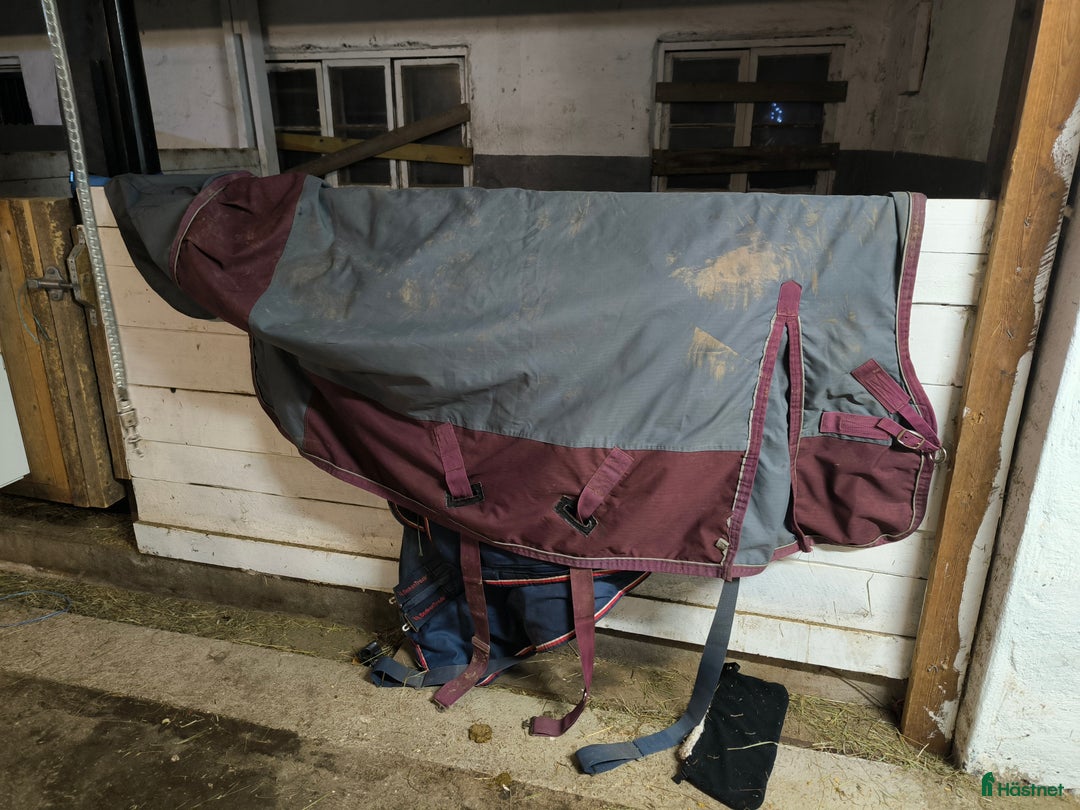 Täcken hästutrustning till salu: Fodrat täcke 125 i Åmotsbruk - Annons 1
