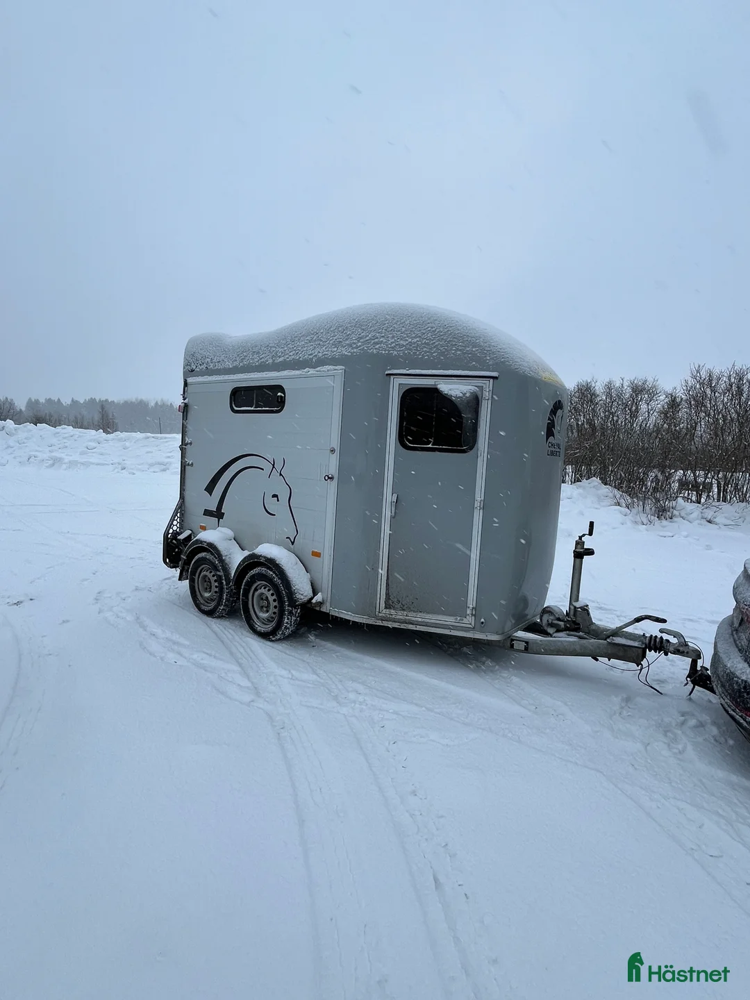 Hästtransporter  fordon & transport till salu: Cheval Gold  i Sundsvall - Annons 3