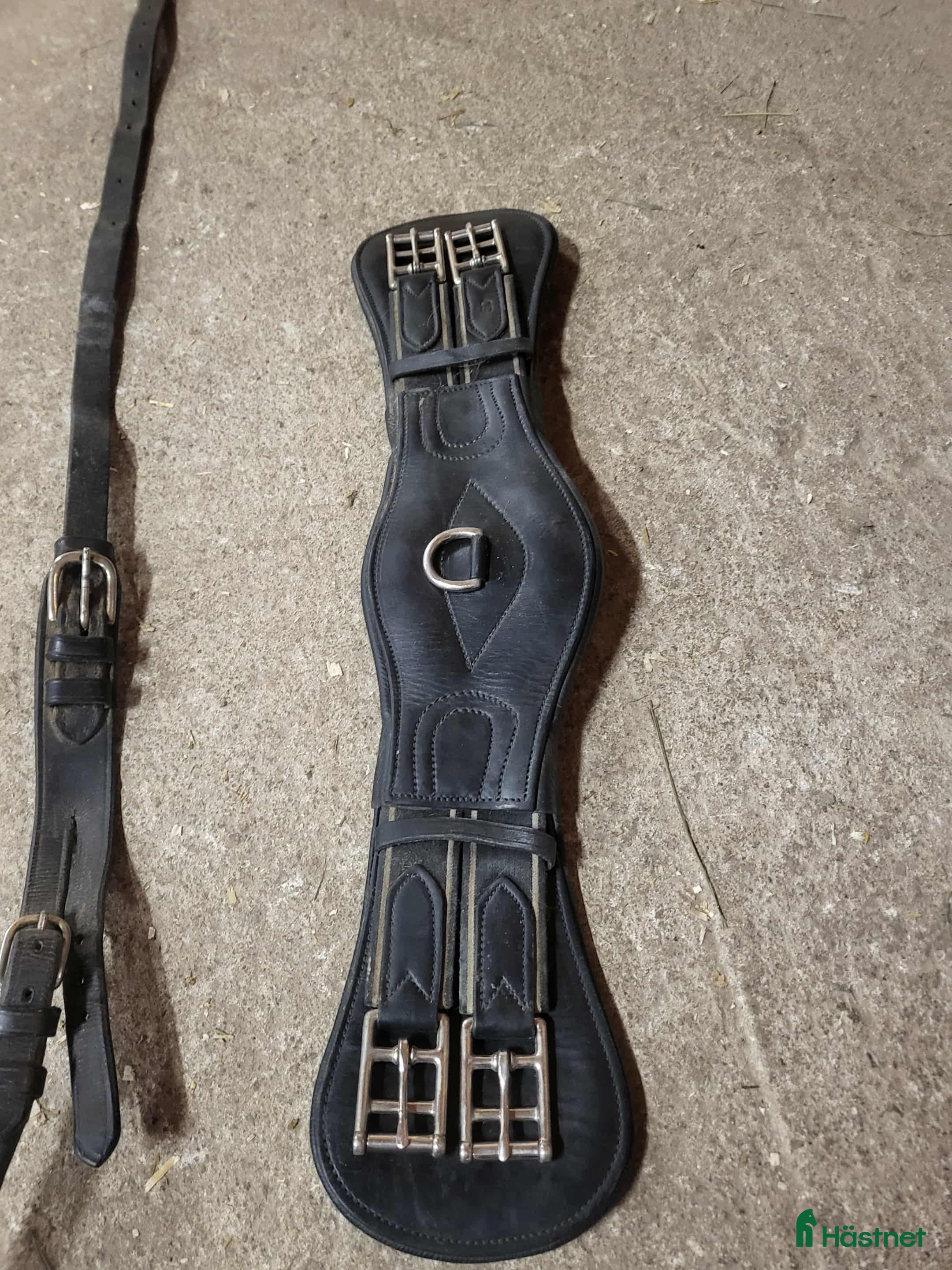 Sadeltillbehör hästutrustning till salu: Lippo dressyrgjord, m.m. i Köping - Annons 12