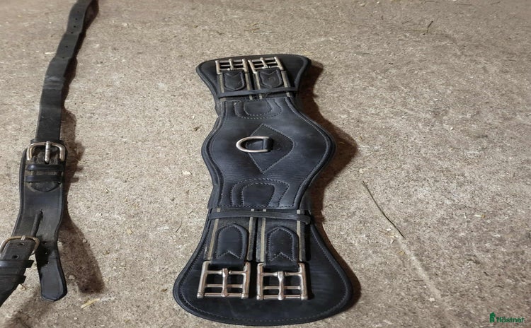 Sadeltillbehör hästutrustning till salu i Köping - Annons 11