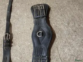 Sadeltillbehör hästutrustning till salu: Lippo dressyrgjord, m.m. i Köping - Annons 3