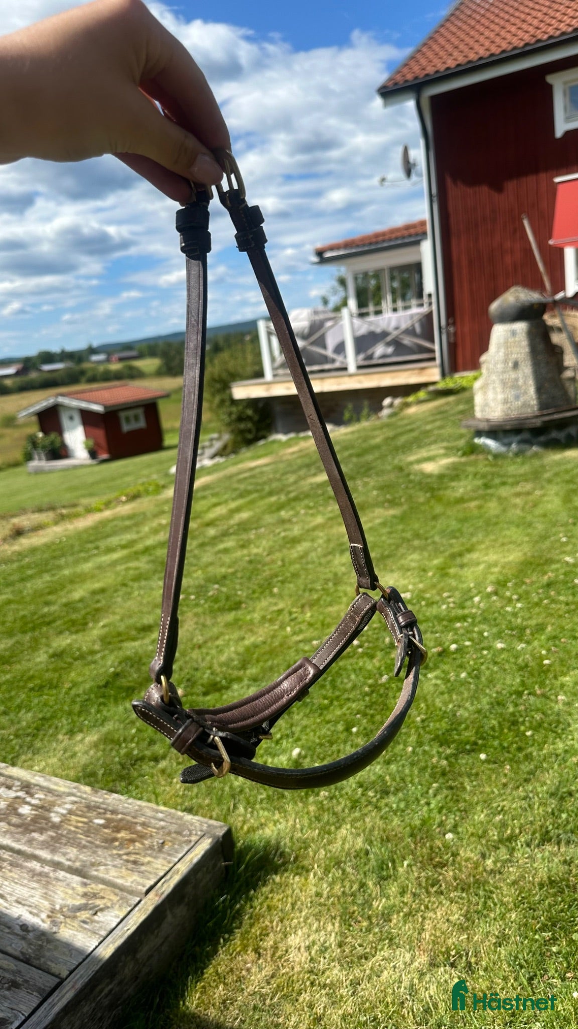 Träns hästutrustning Remontnosgrimma - Annons 1
