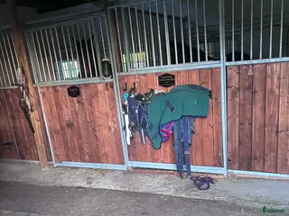 stallplats Stallplats - Annons 1