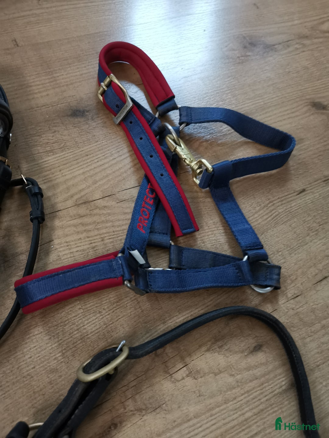 Övrig Hästutrustning hästutrustning till salu: Shettis i Ludvika - Annons 3