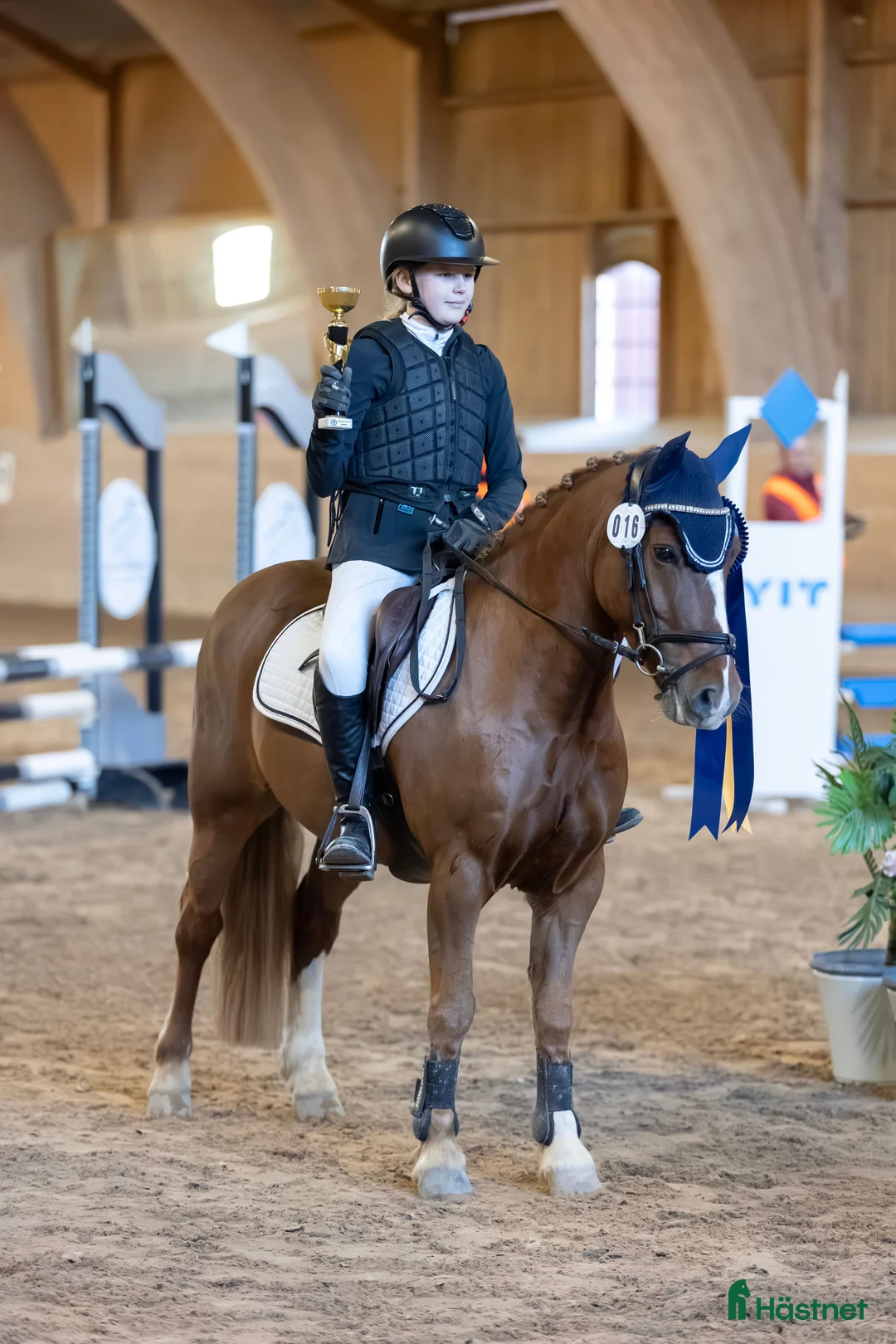 Fälttävlan hästar till salu: En av Sveriges högst rankade b-ponny i fälttävlan i Kumla - Annons 4