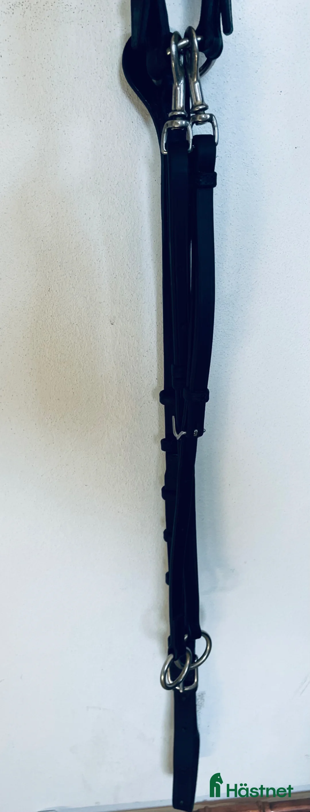 Sadeltillbehör hästutrustning till salu: CWD Förbygel - Annons 2