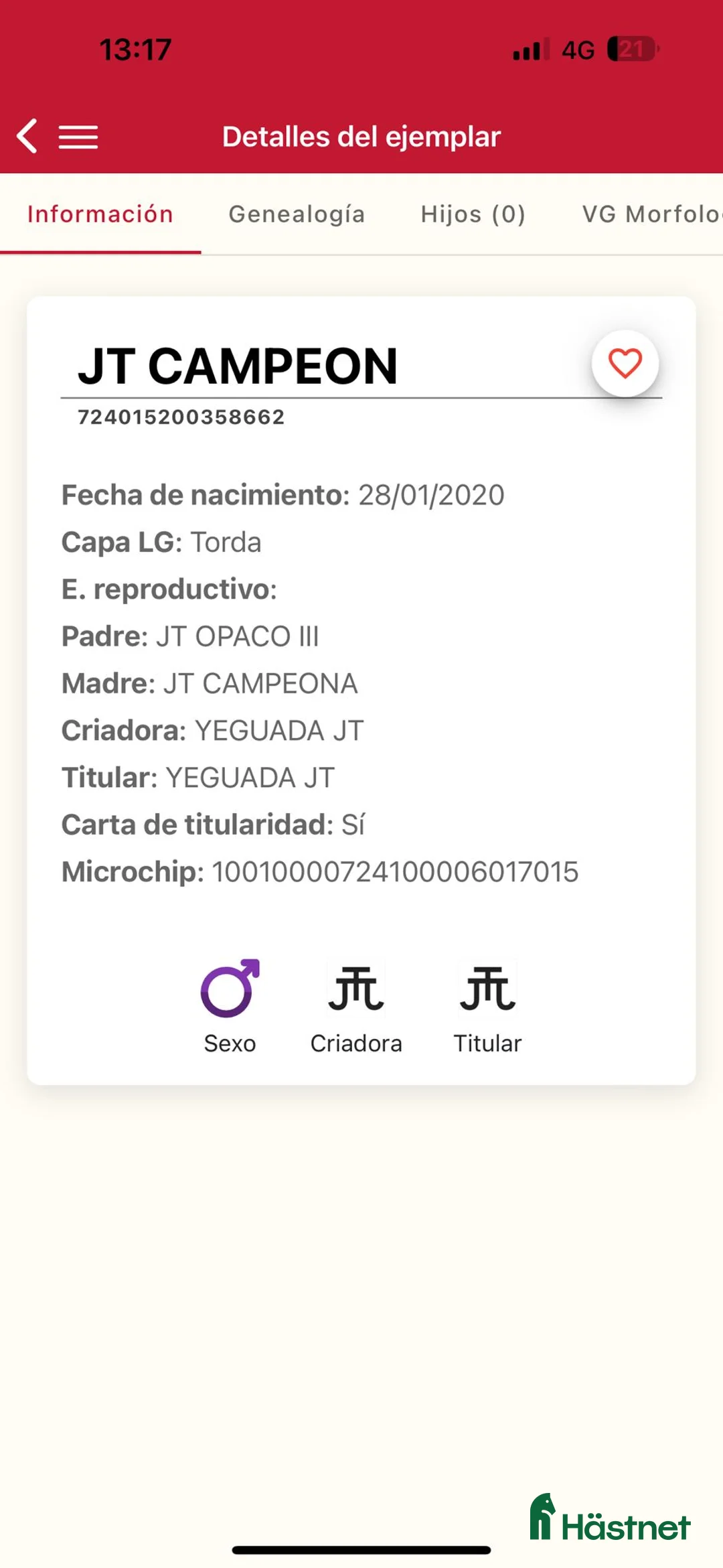 Allround hästar till salu: Underbar häst PRE  i Bredared - Annons 8