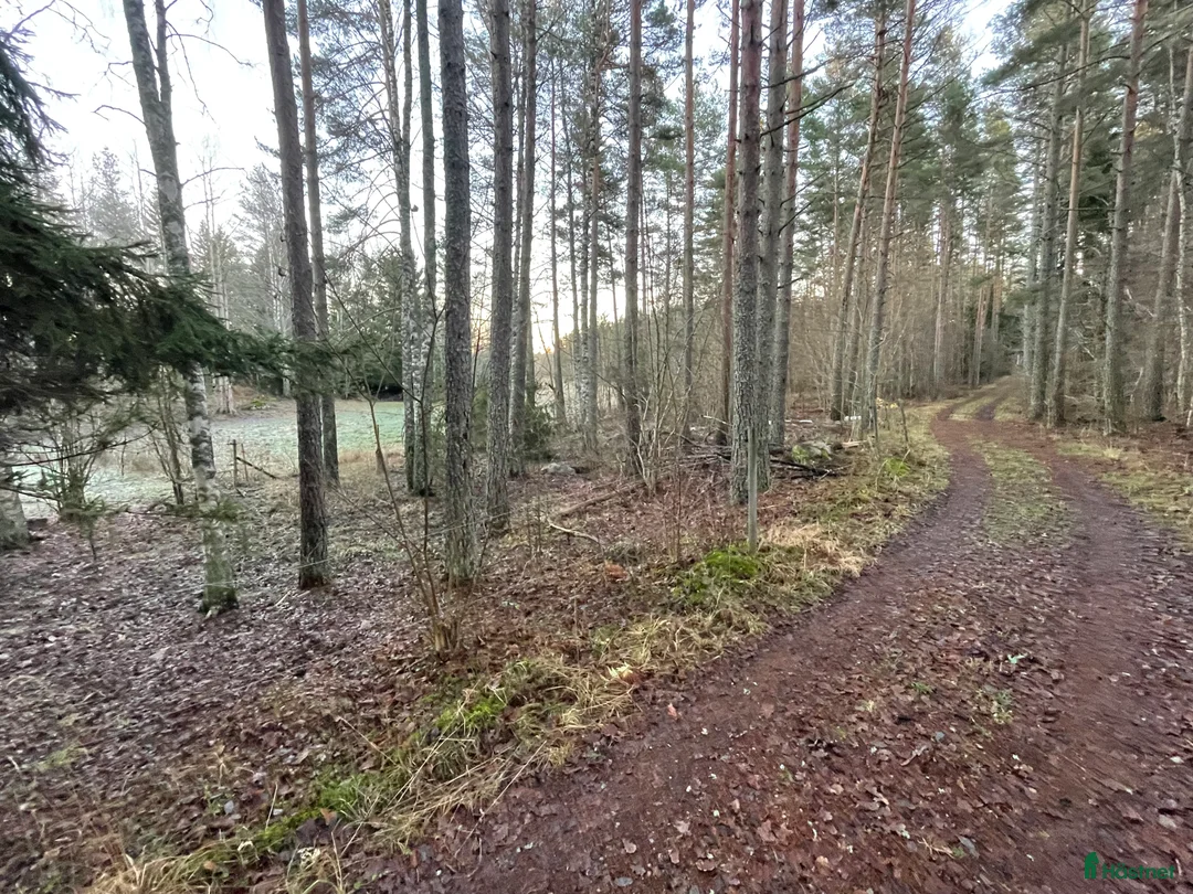  stallplats finnes: Lösdrift för 2 st. islandshästar  i Uppsala - Annons 3