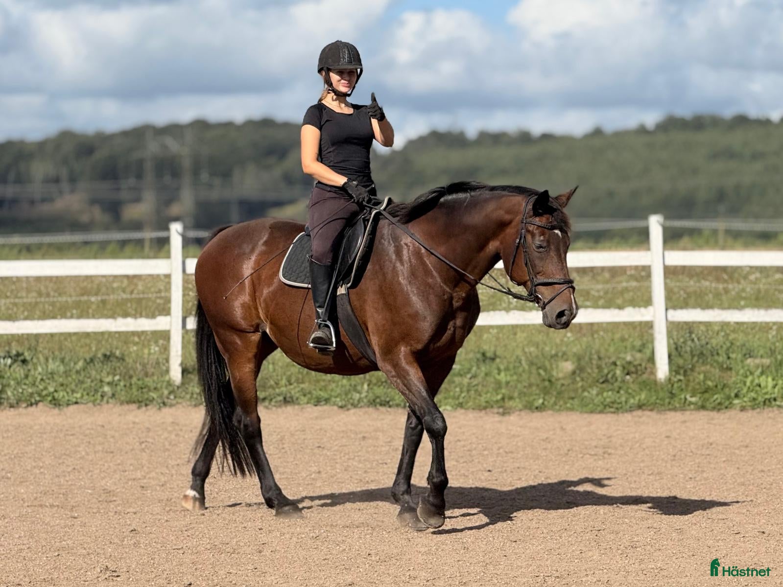  hästar Snällt sällskapssto i Billesholm - Annons 19