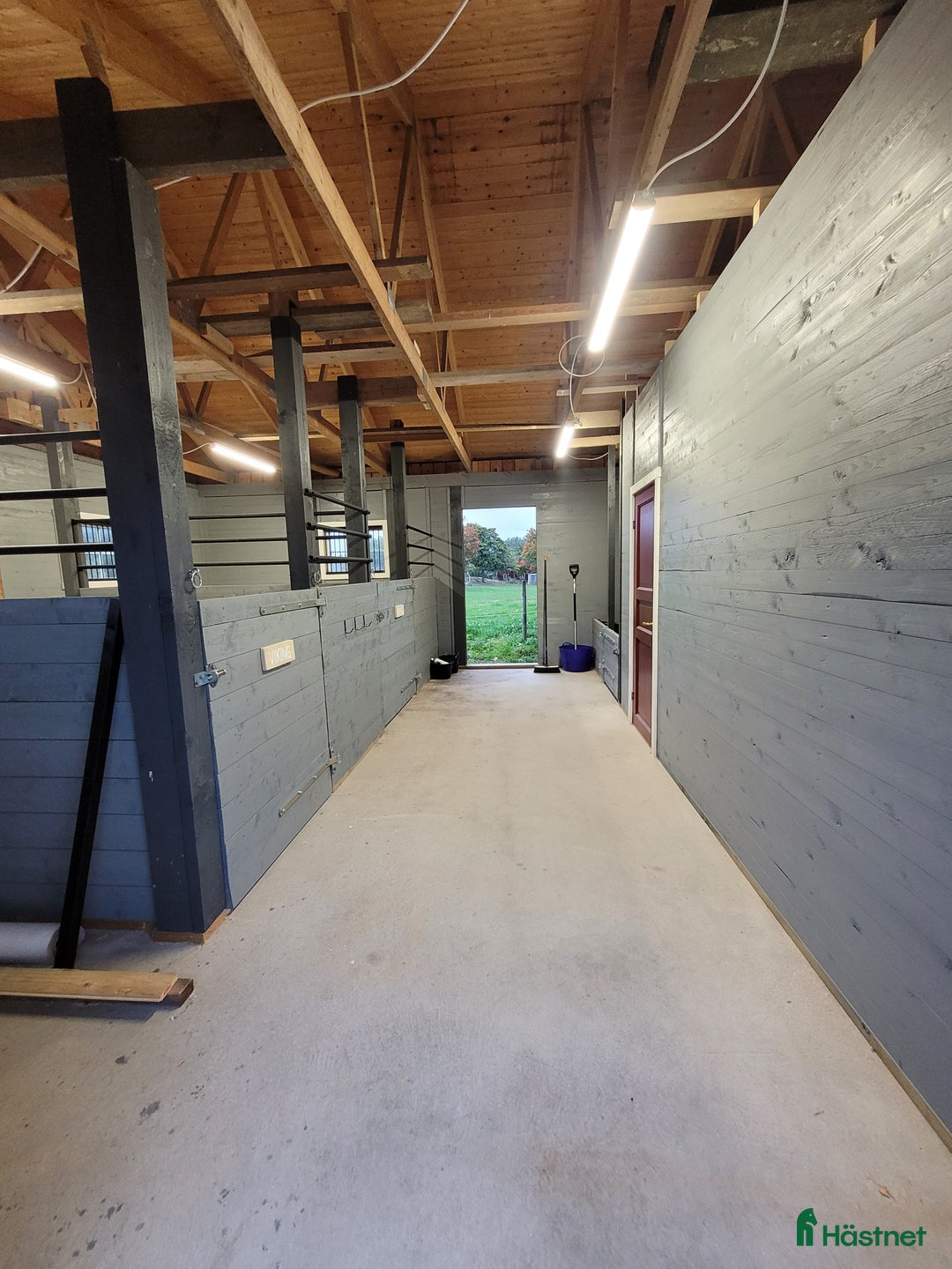 Allround hästar sökes: Trygg, stabil kompis sökes!  i Tranås - Annons 2